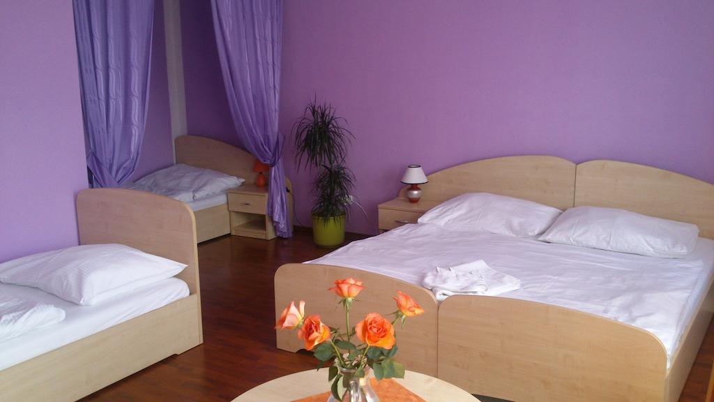 Hotel & Motorest V Udoli Zlateho Potoka Blsany 객실 사진