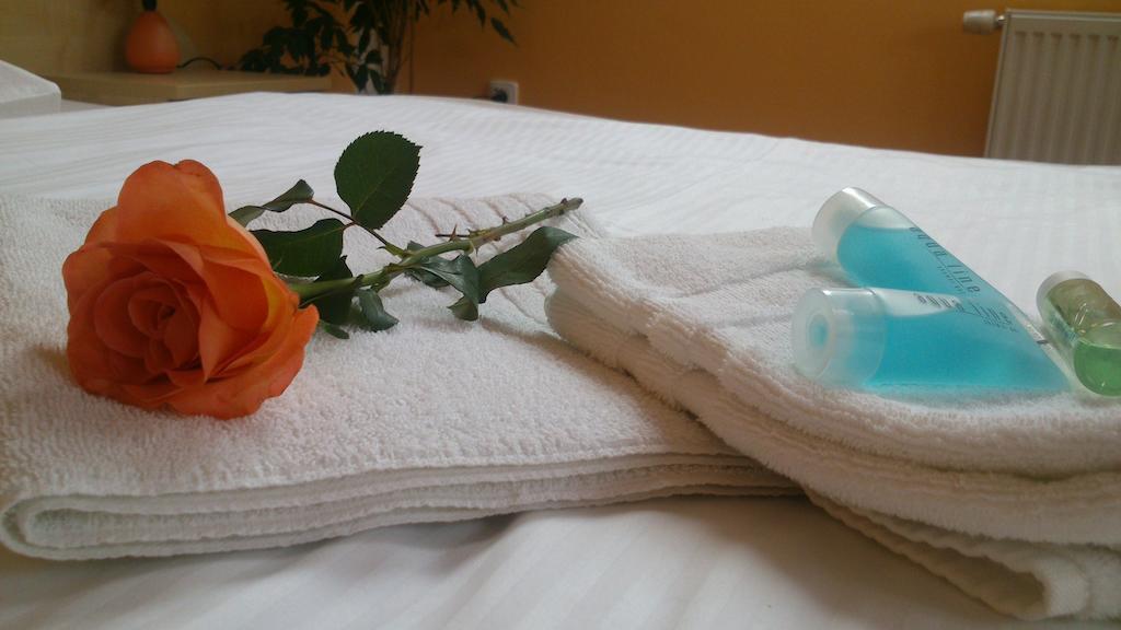 Hotel & Motorest V Udoli Zlateho Potoka Blsany 객실 사진